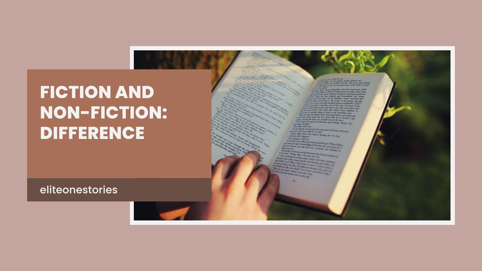 Fiction and Non-Fiction: Difference