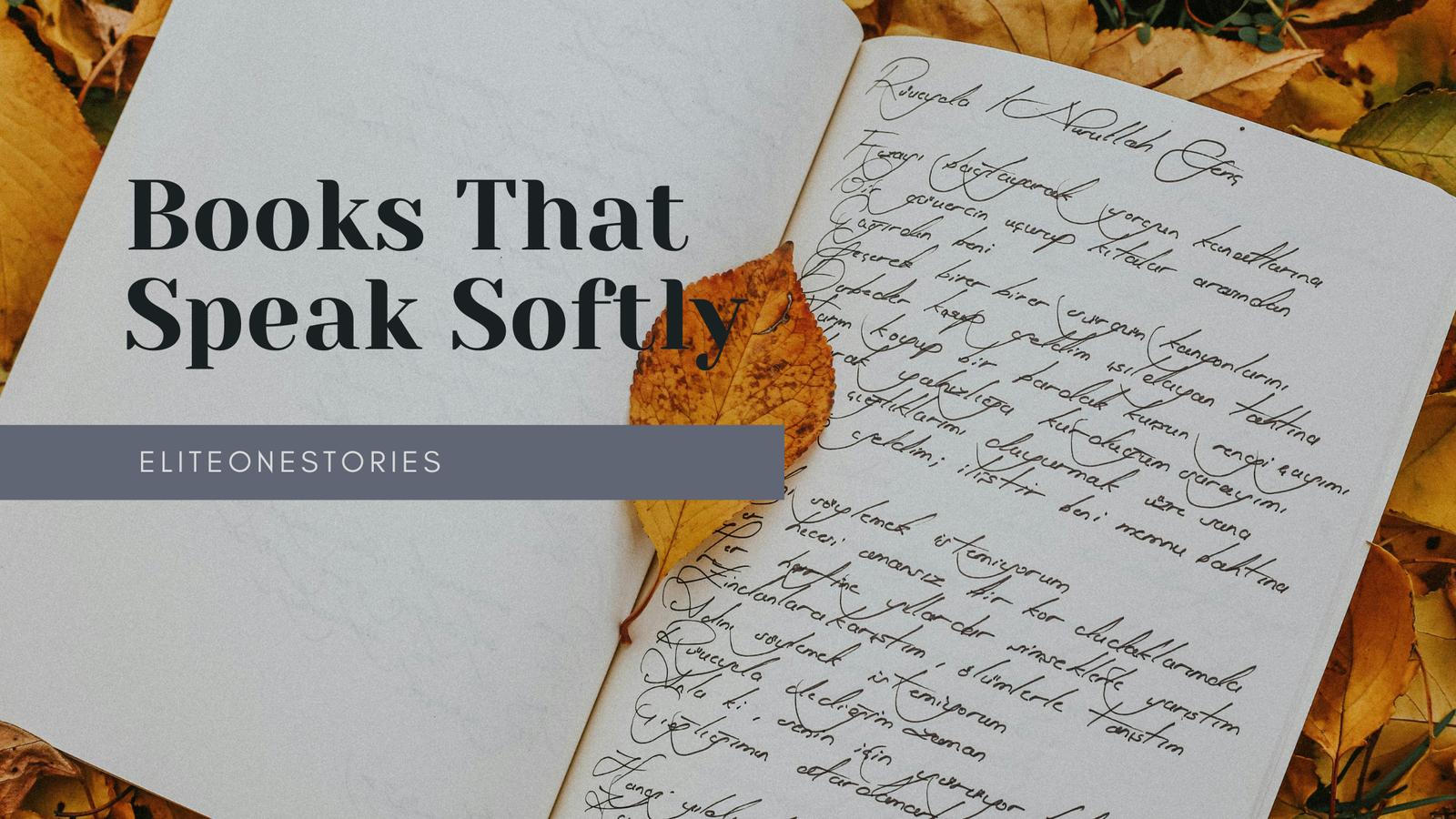 Books That Speak Softly